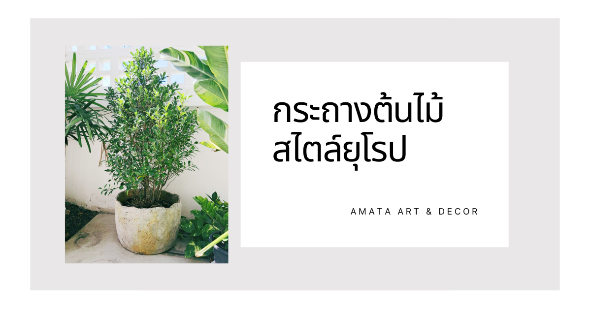 กระถางต้นไม้สไตล์ยุโรปเพิ่มความคลาสสิก